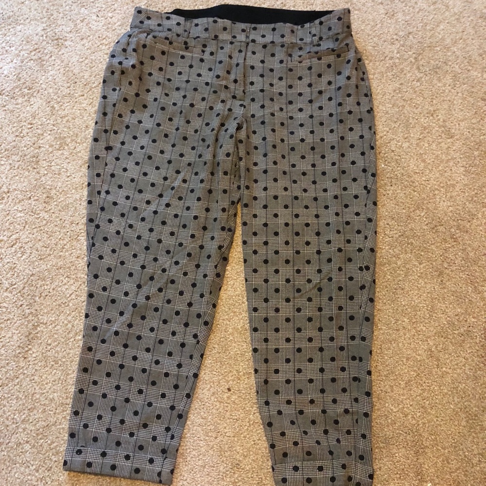 Lane Bryant Capri Slacks